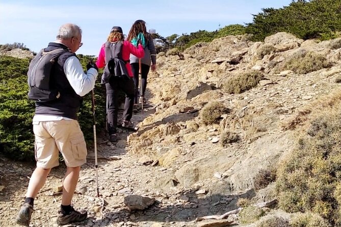 Hiking in Escaleretas Spanish Fir Forest With Hotel Pick-Up - Escaleretas Spanish Fir Forest Trek