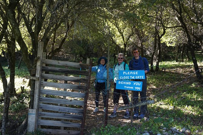 Hiking Profitis Ilias Mountain - Pick up Service Available - Pricing and Value