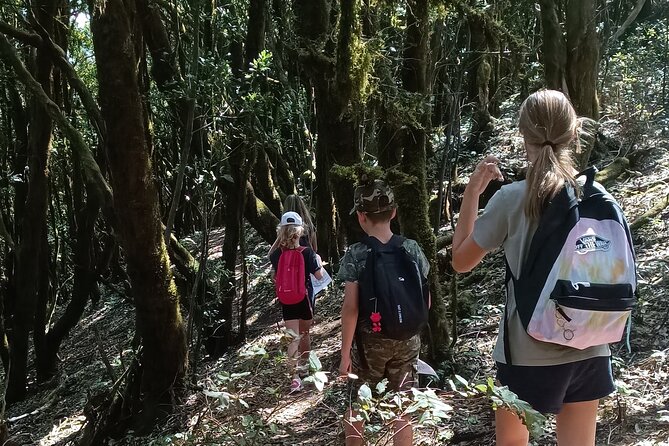 Hiking Through Enchanted Forest Above Masca Half-Day Hike Tenerif - Difficulty Level