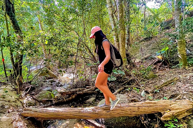 Hiking to Vallarta Botanical Garden. - Botanical Garden Highlights