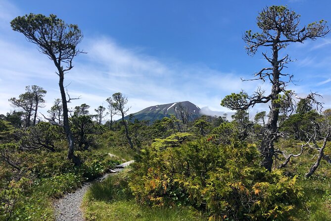 Hiking Tour in Sitka, Alaska - Pricing and Booking Details