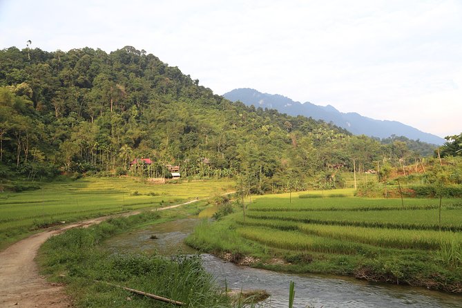[Hiking & Trekking] Pu Luong Natural Reserve Explore (Full Day) - Best Time to Visit Pu Luong Natural Reserve