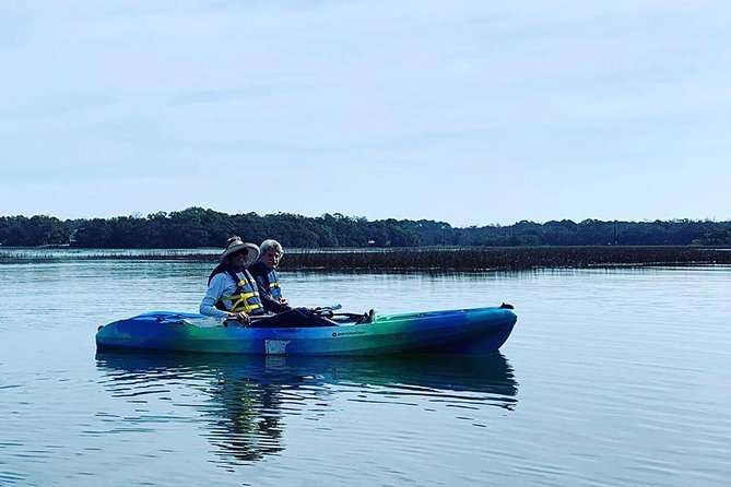 Hilton Head Guided Kayak Tour - Overview and Experience