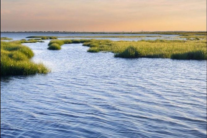 Hilton Head Island Dolphin Watching Nature Cruise - Overview and Departure Information