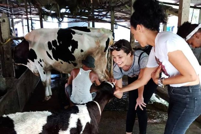 Ho Chi Minh City Full-Day Farm Trip With Healthy Cooking Class - Farm Trip Overview