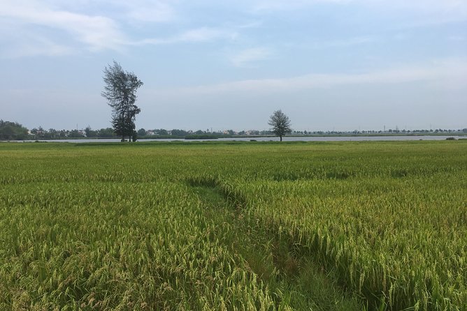Hoi an Countryside Biking Tour and Water Buffalo Riding Experience (4 Hour) - Booking and Cancellation