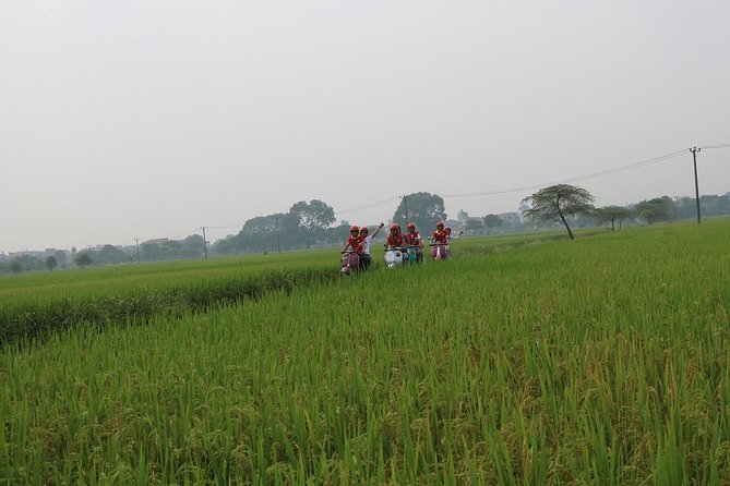 Hoi an Vespa Countryside Tour - Islands & Rural Villages 5 Hours - Transportation and Safety