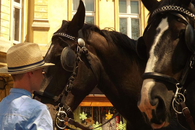 Horse and Carriage Tours With Polish Traditional Food Experience - Affordable Pricing and Value for Money