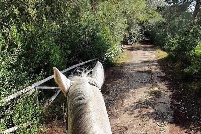 Horse Ride in a Salento Nature Reserve With Transfer From Lecce - Additional Information