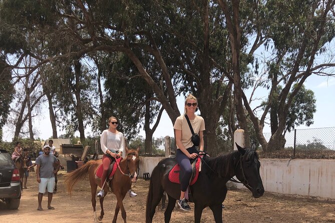 Horse Riding Agadir - Pickup and Transportation