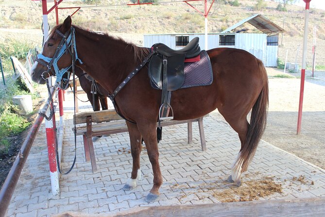 Horse Riding in Kusadasi - Tour Details and Inclusions