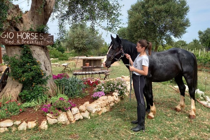 Horse Riding in the Gargano National Park - Traveler Photos and Reviews