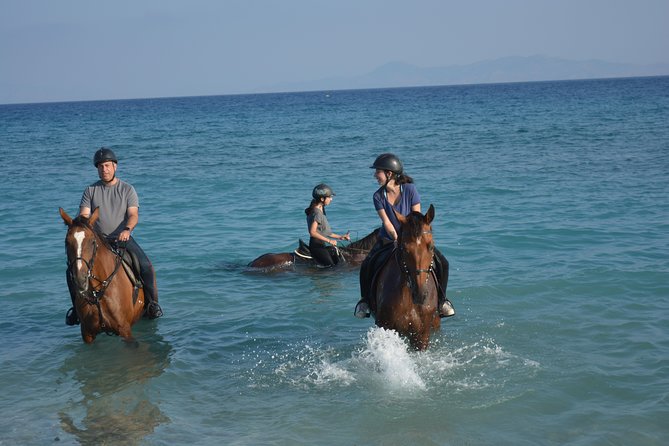 Horse Riding on the Beach, Rhodes - Overview and Experience