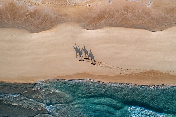 Horse Riding on the Beach With Private Transfer From Lisbon - Important Considerations and Recommendations