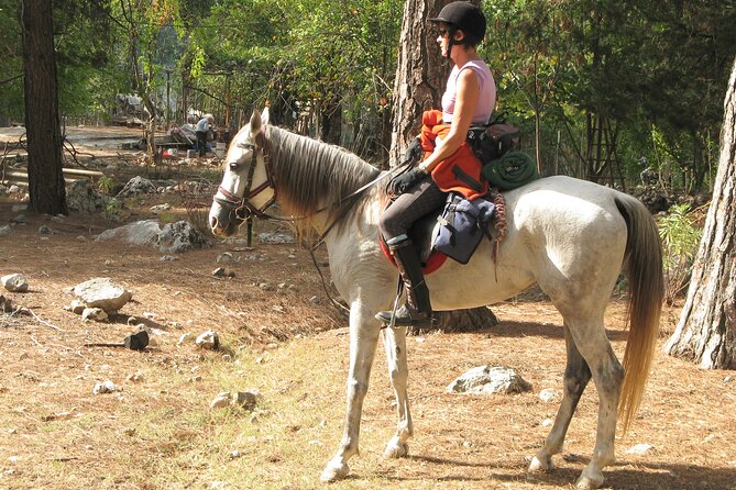Horse Riding Tour in Bodrum With Hotel Pick up - Cancellation Policy