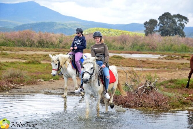 Horse Safari From Kusadasi - Overview and Pickup Details