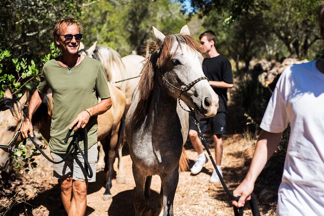Horse Sanctuary: a Nature Walk With Rescued Horses by Your Side - Overview and Experience