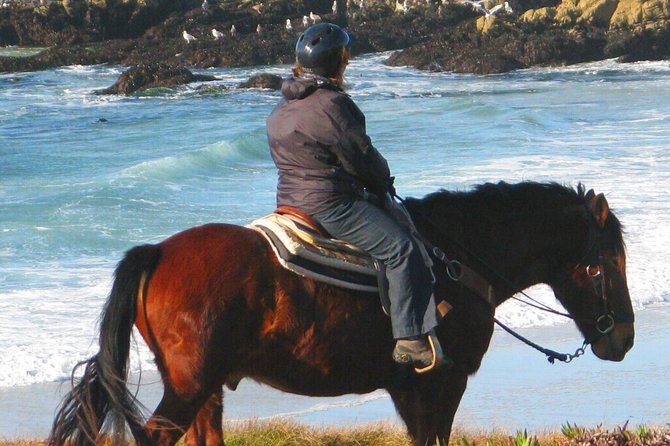 Horseback Ride & Alcatraz Prison Tickets - Selecting Date and Travelers