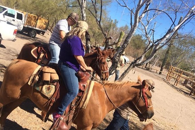 Horseback Ride and Witness Magical Sunset of Loreto, BCS - Pricing and Booking