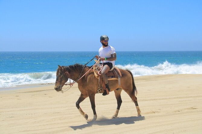 Horseback Riding Beach and Desert Adventure - What to Expect on the Horseback Riding Adventure