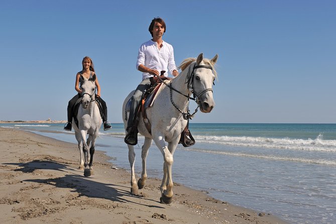 Horseback Riding in Bodrum - Guided Horseback Excursion in Bodrum