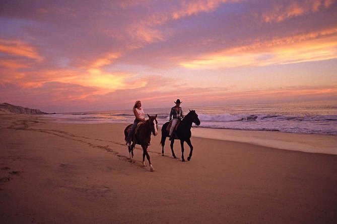 Horseback Riding in Djerba Lagoon - Overview and Experience