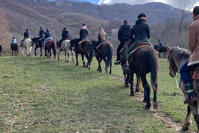 Horseback Riding in Nature - Pricing and Booking