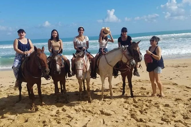 Horseback Riding on a Punta Cana Beach - Transportation and Logistics