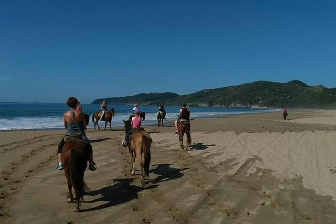 Horseback Riding on the Beach and Through a Coconut Plantation - Overview and Whats Included
