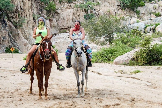 Horseback Riding on The Beach and Through The Desert! - Overview and Tour Details