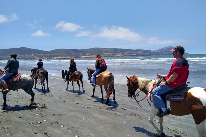 Horseback Riding on the Beach From Ensenada - Pricing and Booking