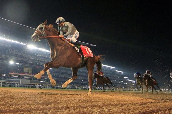 Horses Stables & New Dubai Tour - Riding Experience