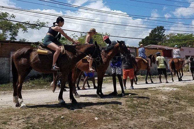 Hour Horseback Riding Guided Tour From Runaway Bay - Meeting and Pickup Details