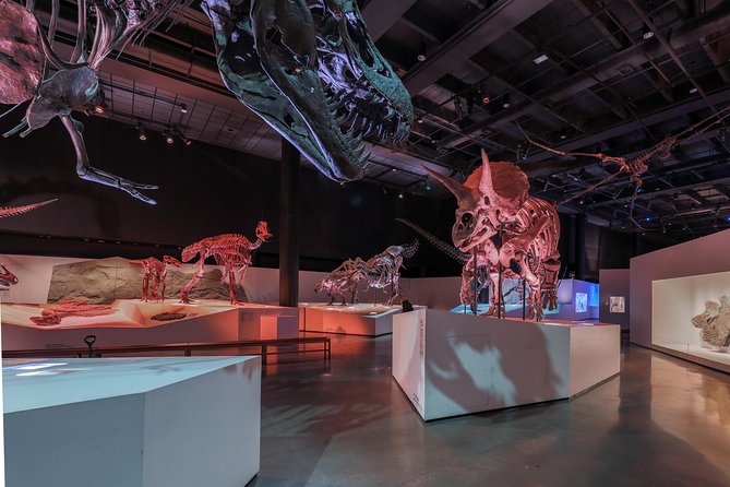 Houston Museum of Natural Science General Admission - Inclusions and Exclusions