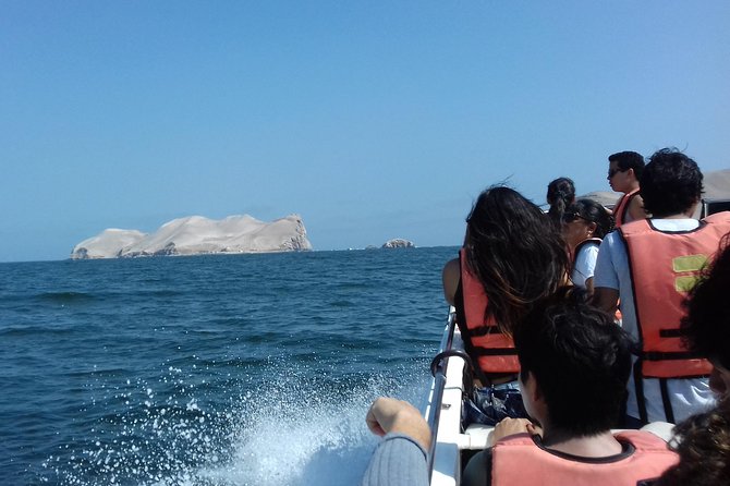 Huacachina Dunes, Ballestas Islands, and Paracas in 2 Days - Activities