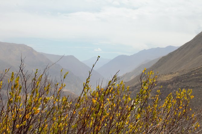 Huaruro Waterfall & Colca Canyon Trekking - 4 Days - Common Questions