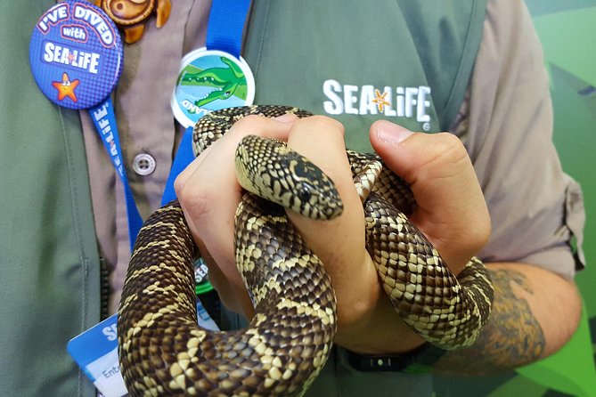 Hunstanton SEA LIFE Sanctuary General Admission Ticket - Ticket Details and Booking Information