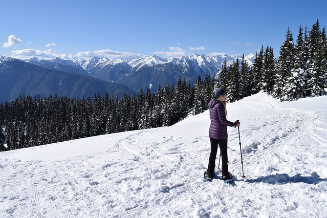 Hurricane Ridge Guided Snowshoe Tour in Olympic National Park - Tour Overview