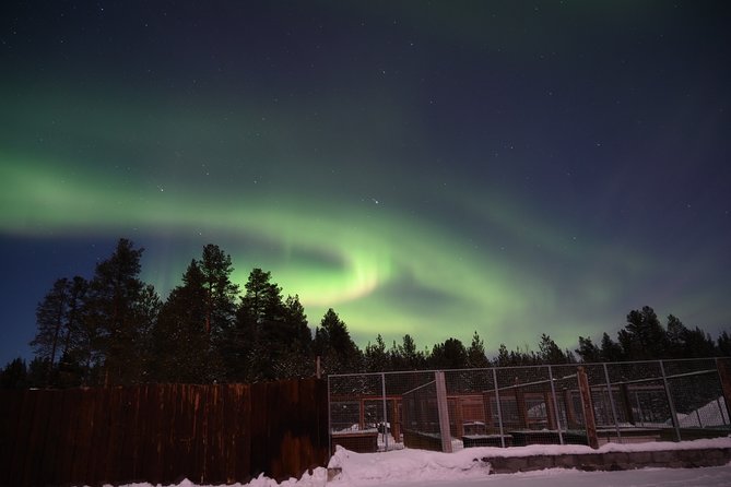 Husky Sled Ride Northern Lights Tour From Kiruna - Tour Overview and Experience