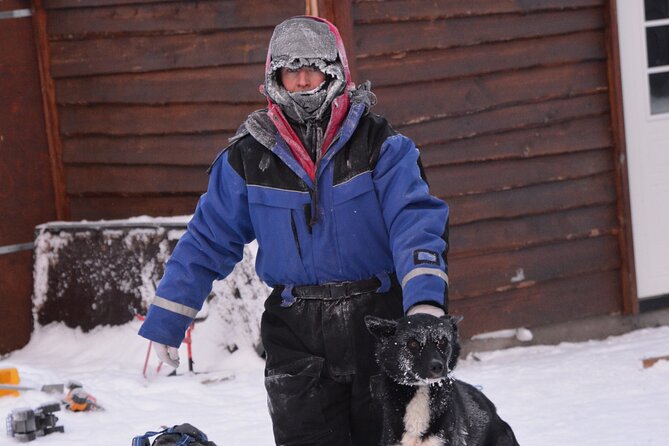 Husky Tour Sit and Drive Combo Tour From Kiruna - Pricing and Booking