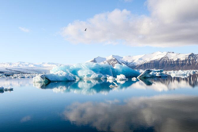 Iceland South Coast: 5-Night Tour From Keflavik  - Reykjavik - Tour Overview and Highlights
