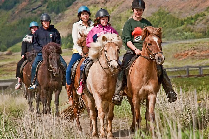 Iceland Tour With Horseback Riding - Overview of the Iceland Tour