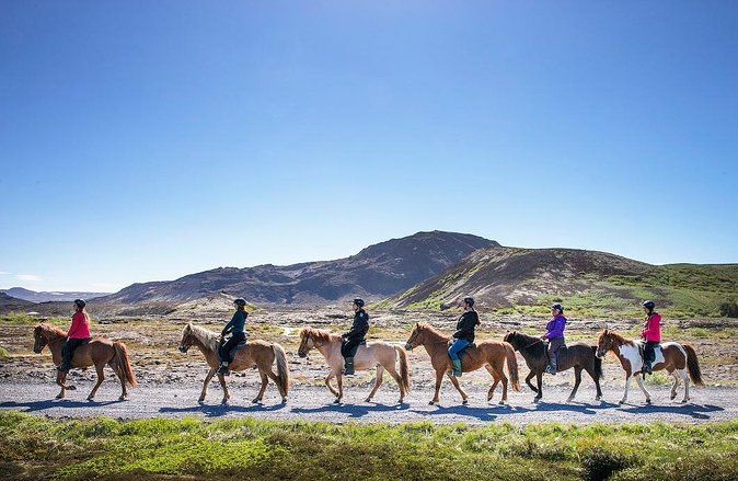 Icelandic Horseback Riding Tour From Reykjavik - Pricing and Booking Details