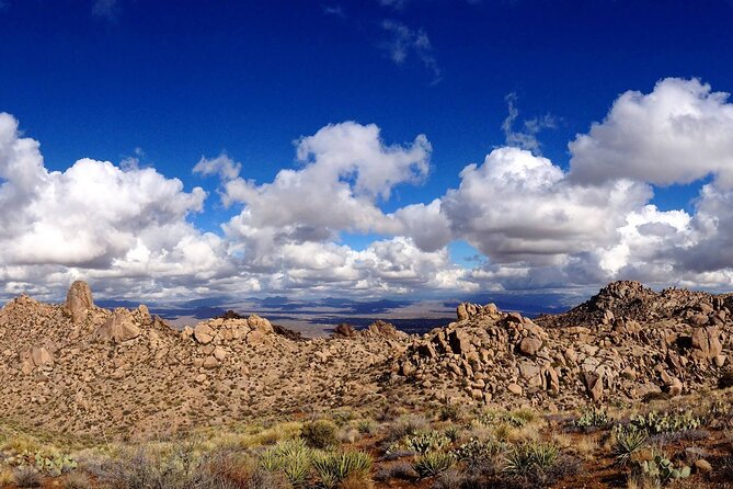 Iconic Toms Thumb Hiking Adventure in Scottsdale - Overview of Toms Thumb Hike
