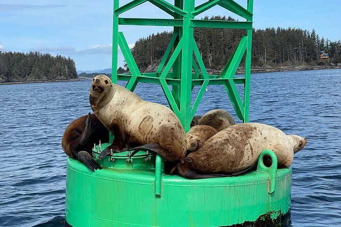 Inside Waters Wildlife and Scenery Tour - Tour Highlights