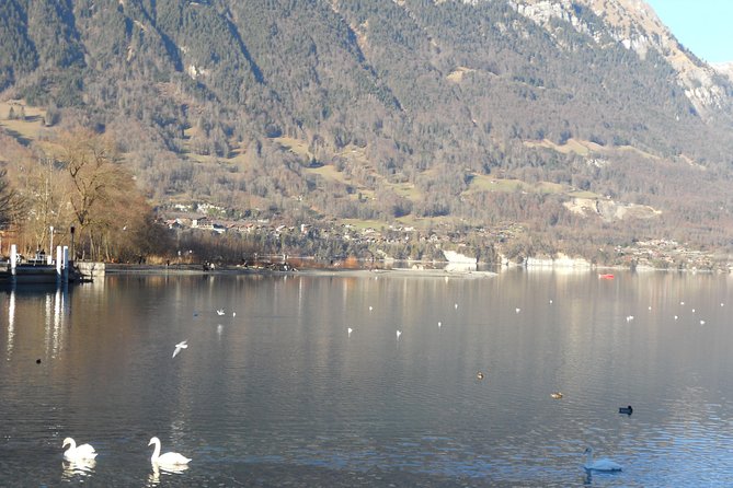 Interlaken Private Tour: Mountains Cows, Thun Lake, and Brienz Lake - Pricing and Booking