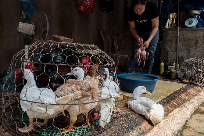 Into the Thieves Market Hanoi Photo Tour - Traveler Photos: Visual Representation of the Tour