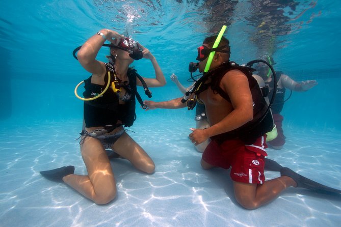 Introductory Diving in Aruba - Equipment and Safety Basics