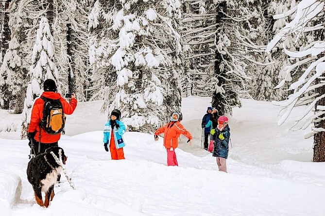 Introductory Snowshoe Shared Experience - Overview and Logistics