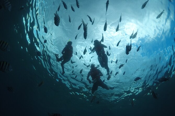 Invisible Boat Snorkeling Adventure in Cozumel - Additional Information and Cancellation Policy